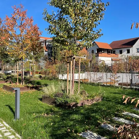 Design Vogue Apt-zentrum-outlet-aufzug-wm Lejlighed *